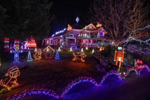 woodinvillewonderland